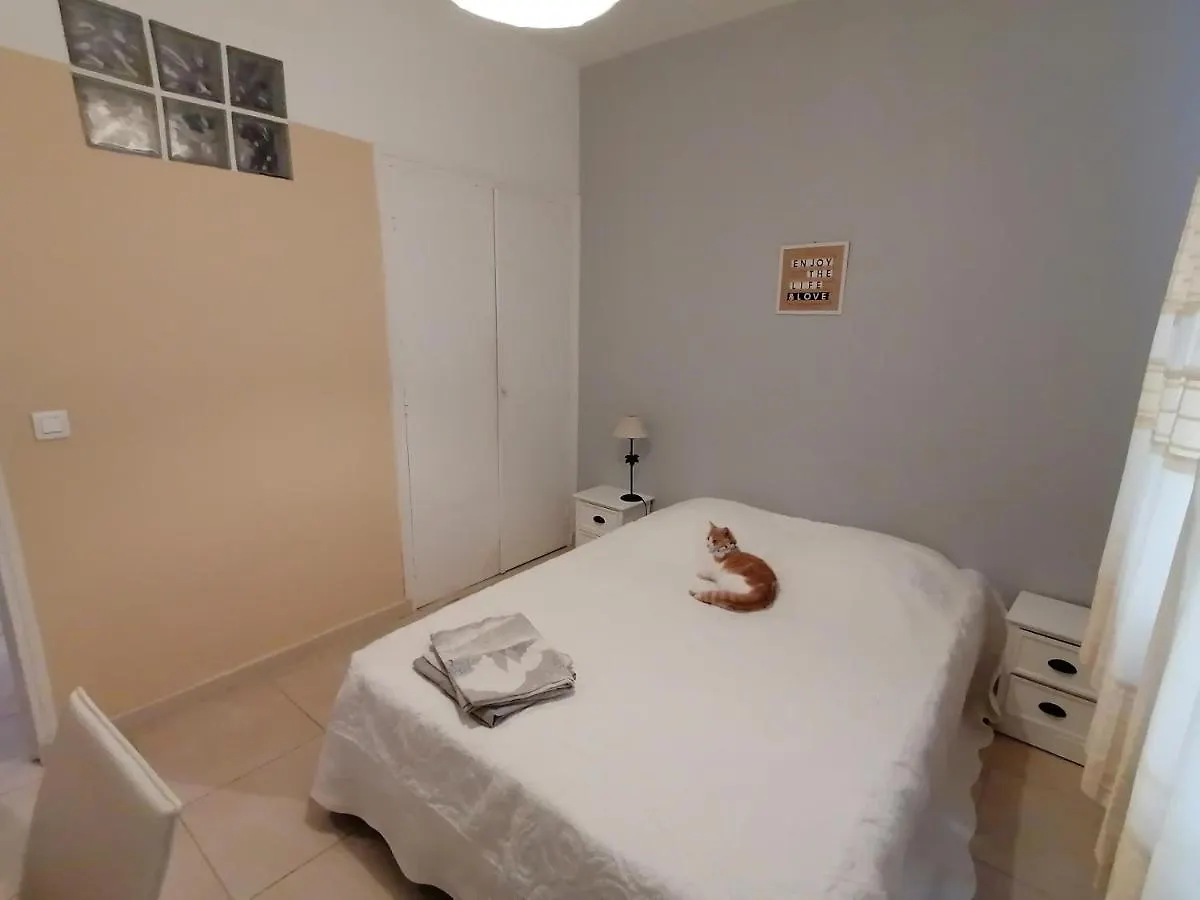 Palais Parmentier Apartment Nice
