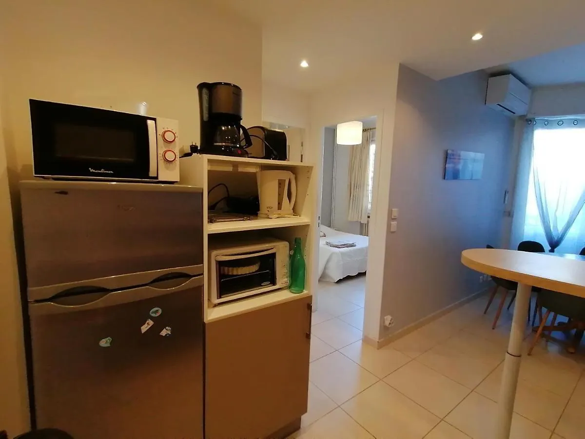Palais Parmentier Apartment Nice France