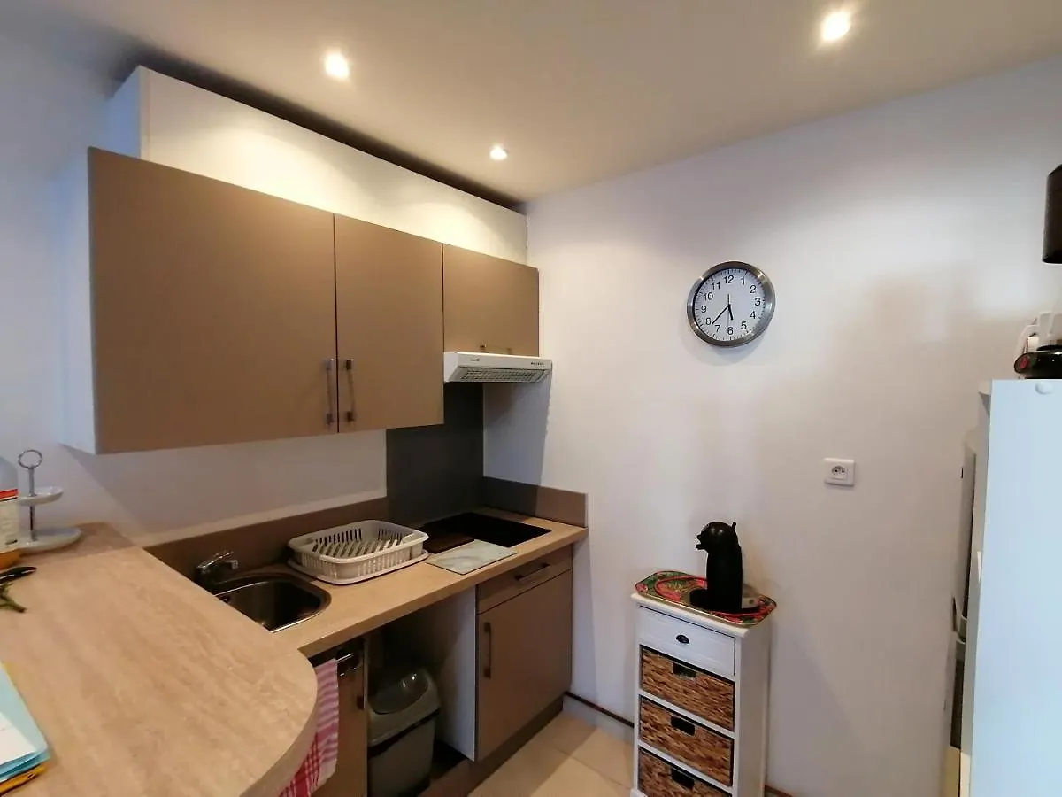 Palais Parmentier Apartment Nice 0*,
